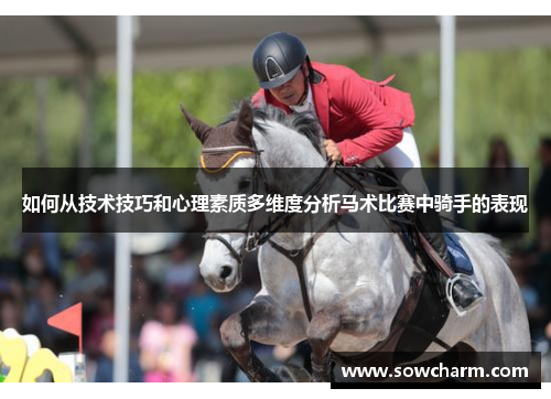 如何从技术技巧和心理素质多维度分析马术比赛中骑手的表现