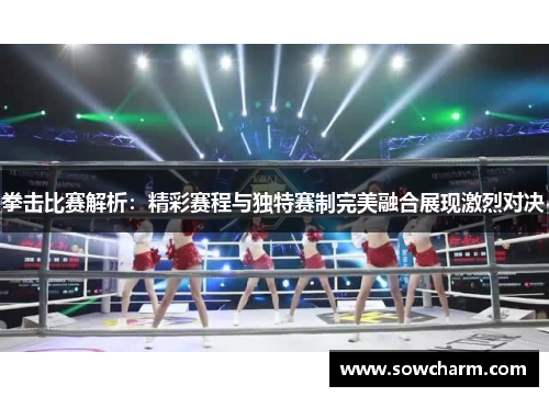 拳击比赛解析：精彩赛程与独特赛制完美融合展现激烈对决