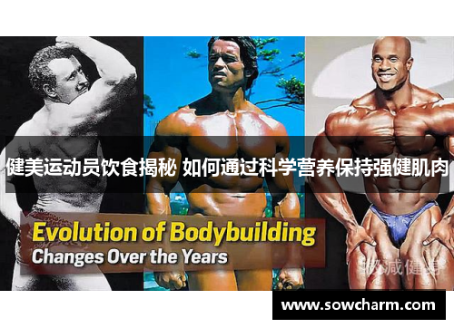 健美运动员饮食揭秘 如何通过科学营养保持强健肌肉