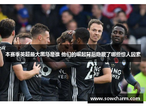 本赛季英超最大黑马是谁 他们的崛起背后隐藏了哪些惊人因素