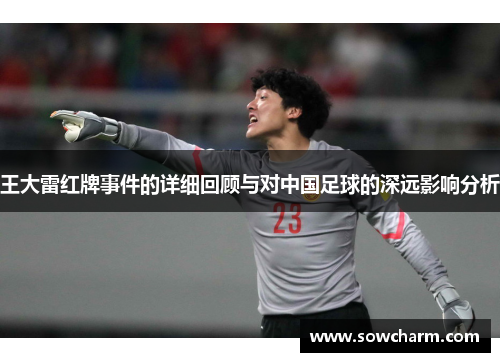 王大雷红牌事件的详细回顾与对中国足球的深远影响分析
