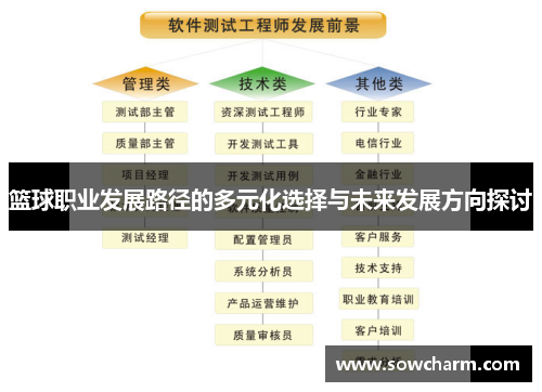 篮球职业发展路径的多元化选择与未来发展方向探讨