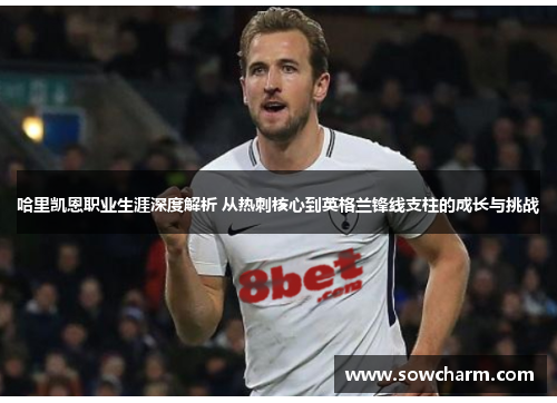 哈里凯恩职业生涯深度解析 从热刺核心到英格兰锋线支柱的成长与挑战 哈里凯恩职业生涯深度解析 从热刺核心到英格兰锋线支柱的成长与挑战