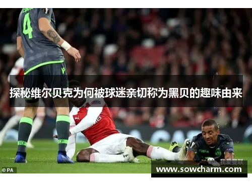 探秘维尔贝克为何被球迷亲切称为黑贝的趣味由来