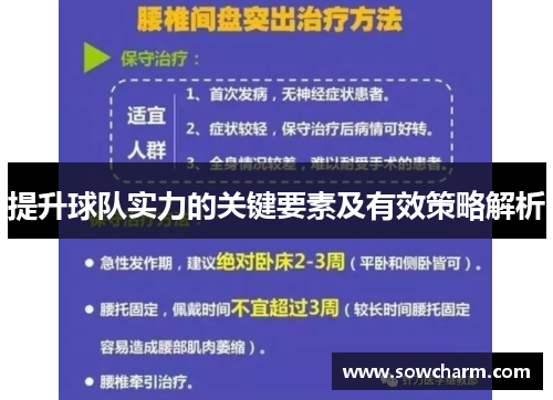 提升球队实力的关键要素及有效策略解析