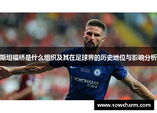斯坦福桥是什么组织及其在足球界的历史地位与影响分析 斯坦福桥是什么组织及其在足球界的历史地位与影响分析